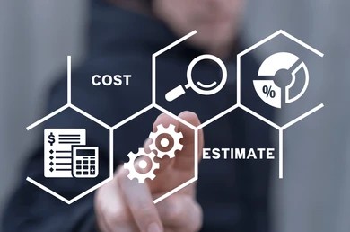Project Estimation Executive